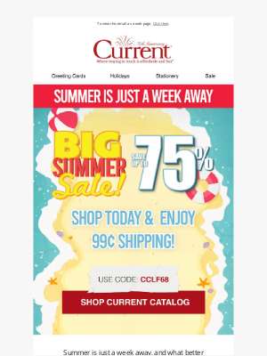 Current Catalog - Summer Sale! 99¢ Shipping on all orders!