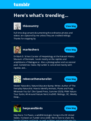 Tumblr - Give these 5 a follow!