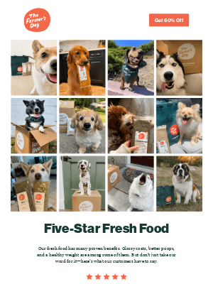 The Farmer's Dog - Five-star fresh food for Goldie