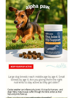Alpha Paw - 🐾 Fall is tough on mature dogs - this helps