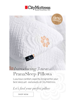 City Mattress - They're Here! New PranaSleep Luxury Pillows