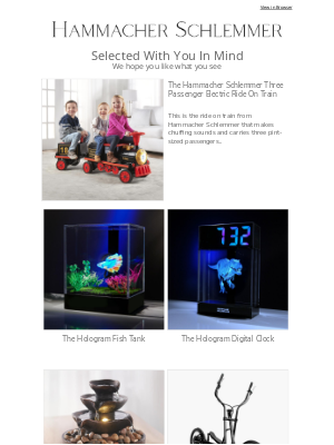 Hammacher Schlemmer - Selected Just For You:  The Hammacher Schlemmer Three Passenger Electric Ride On Train & More