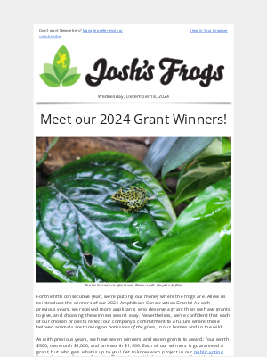 Josh’s Frogs - Meet our 2024 Amphibian Conservation Grant WINNERS