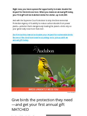 National Audubon Society - Don’t miss this chance to amplify your impact for birds