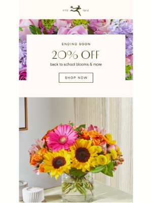 FTD Flowers - Beautiful Summer Blooms & Gifts are 20% Off!