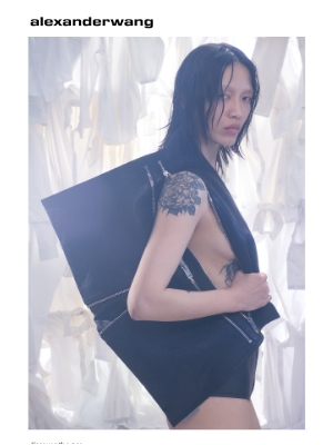Alexander Wang - the new geo bag