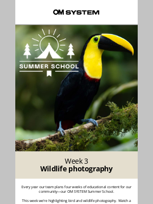 Olympus - Summer School: Wildlife Photography