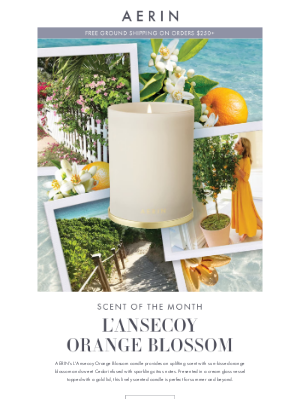 AERIN LLC - Scent of the Month: Orange Blossom