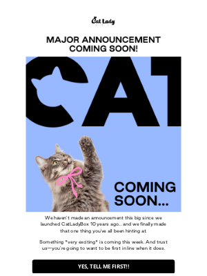 CatLadyBox - 😺 It’s finally happening. Big announcement coming this week!