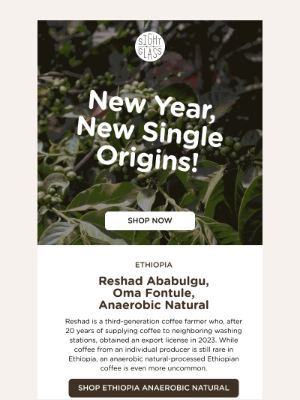 Sightglass Coffee - Meet Our New January Menu