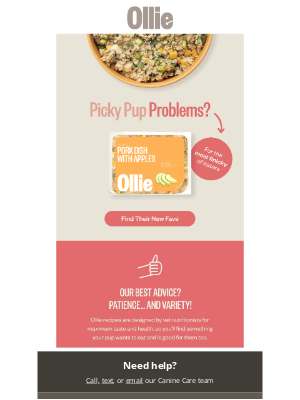 Ollie - Is your pup a picky eater?