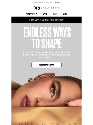Urban Decay - One Palette, Infinite Looks