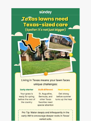 Sunday - Give your Texas lawn some Texas-sized love 🌿