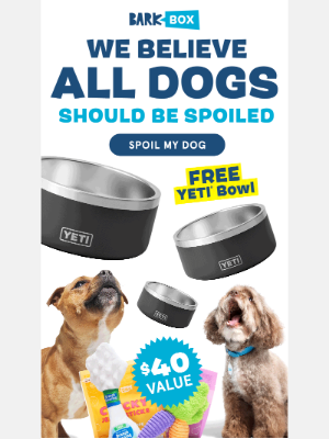 BarkShop - All Dogs Should be Spoiled!