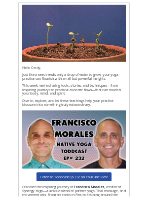 NATIVE YOGA CENTER - Plant the Seeds for Your Yoga Growth