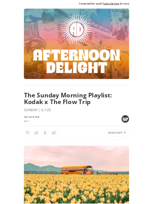 Whalebone - The Sunday Morning Playlist: Kodak x The Flow Trip ☀️