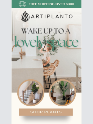 artiplanto - Wake Up To A Lovely Space  😍