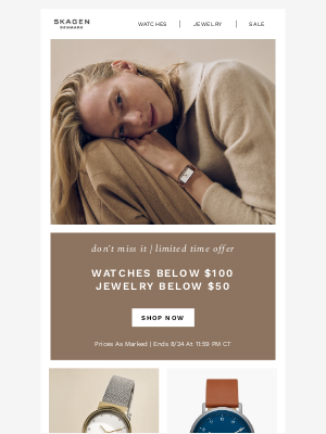 Skagen - limited time offer ends soon