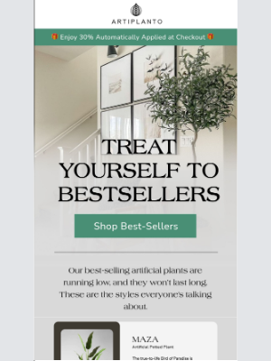 artiplanto - Treat Yourself to Our Bestsellers