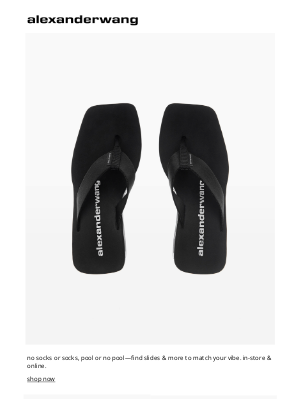 Alexander Wang - live out your pool slide life