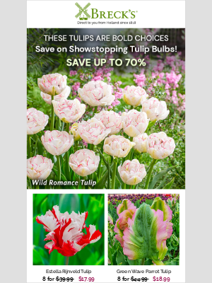 Breck’s Bulbs - Rethink, Replant and Revitalize Your Tulip Bed!