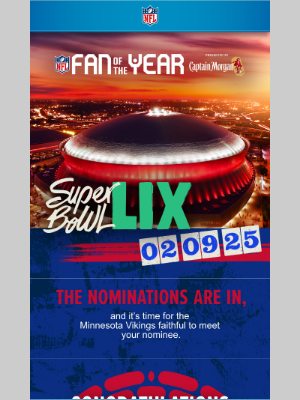 NFL - It's Time To Cast Your Vote For The Ultimate Fan Of The Year 🗳️