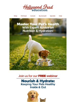 Hollywood Feed - Master Your Pet's Health With Expert Advice on Nutrition & Hydration!