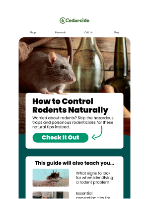 🐀 Learn How to Control & Help Prevent Rodents Naturally