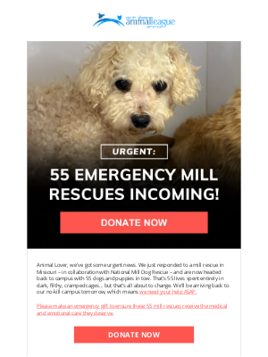 Animal League - Urgent: 55 mill rescues arriving tomorrow!