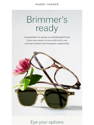 Warby Parker - Brimmer’s spring makeover