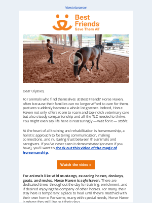 Best Friends Animal Society - Hay, now — it’s a horse video 🐎