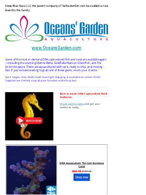 Saltwaterfish - 🐠The lorem Is Here + Rare Clownfish Deals @ Oceansgarden.com