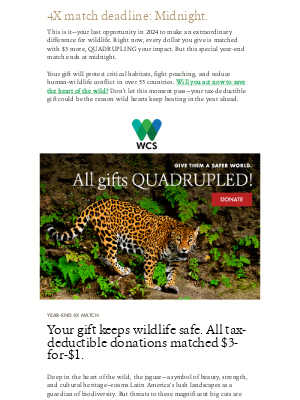 Wildlife Conservation Society - Don’t let 2024 end without a gift for wildlife