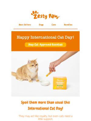We haven't forgotten our feline friends! 🐱 Happy International Cat Day 🐈
