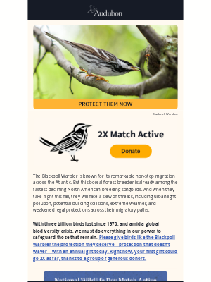 National Audubon Society - Give birds the unwavering protection they deserve (Match Deadline Approaching)