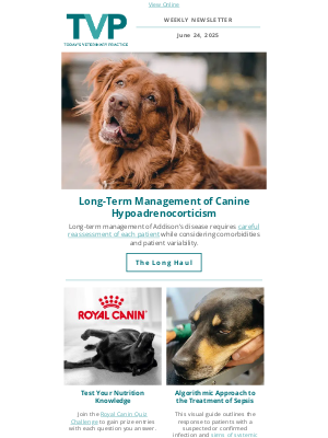 NAVC - Keys to Long-Term Management of Canine Hypoadrenocorticism