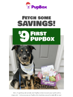 PupBox - 🎁 First Box, Big Smiles, Small Price—Just $9! 🐾