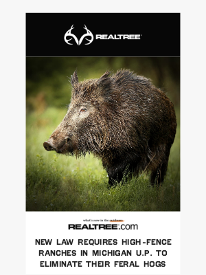 Realtree - New Law Requires High-Fence Ranches in Michigan U.P. To Eliminate Their Feral Hogs
