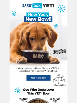 BarkBox - LAST CHANCE: New Year, New Yeti® Bowl!