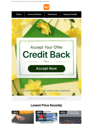 Temu - Your Purchases Have Returned As Credits