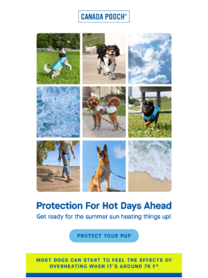 Canada Pooch - Discover NEW Chill Solutions for Summer!