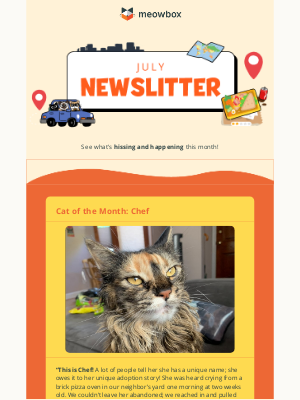 meowbox - How to keep your cat calm during car rides 🚗🐱