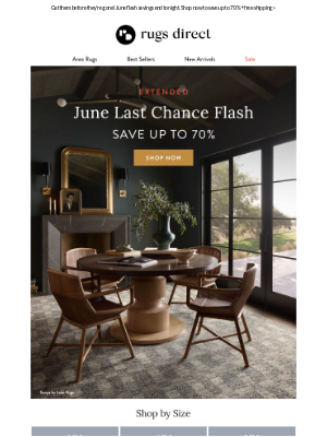 Rugs Direct - June Last Chance Flash ⚡