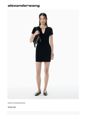 Alexander Wang - knits not in color