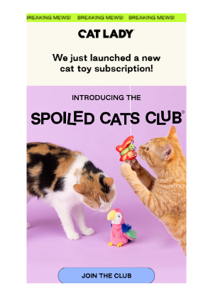 CatLadyBox - Our New Cat Toy Subscription!  🐾