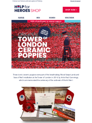 Help For Heroes - Own a Tower of London Poppy🌹