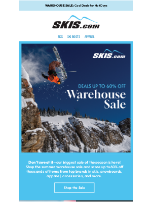 Skis - Summer Warehouse Sale!