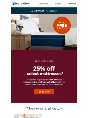 BedInABox - Save 25% on our coziest mattresses.