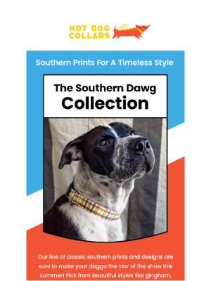 Hot Dog Collars - Checkout Our Southern Dawg Collection 🐕