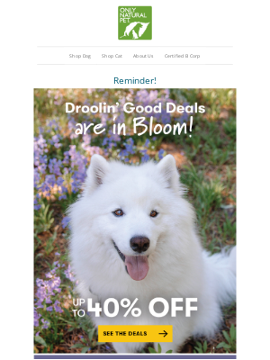 Only Natural Pet - May We Tempt You? 🌷 Up to 40% OFF!